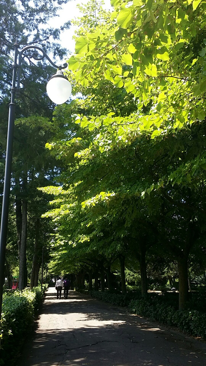 Viale