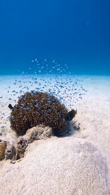 Море