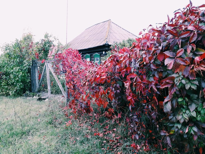 Осень(