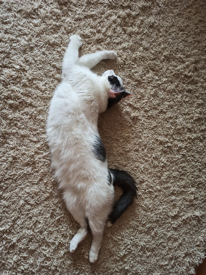 Simon