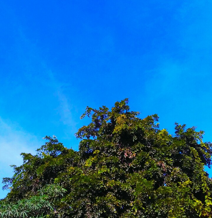 Nature