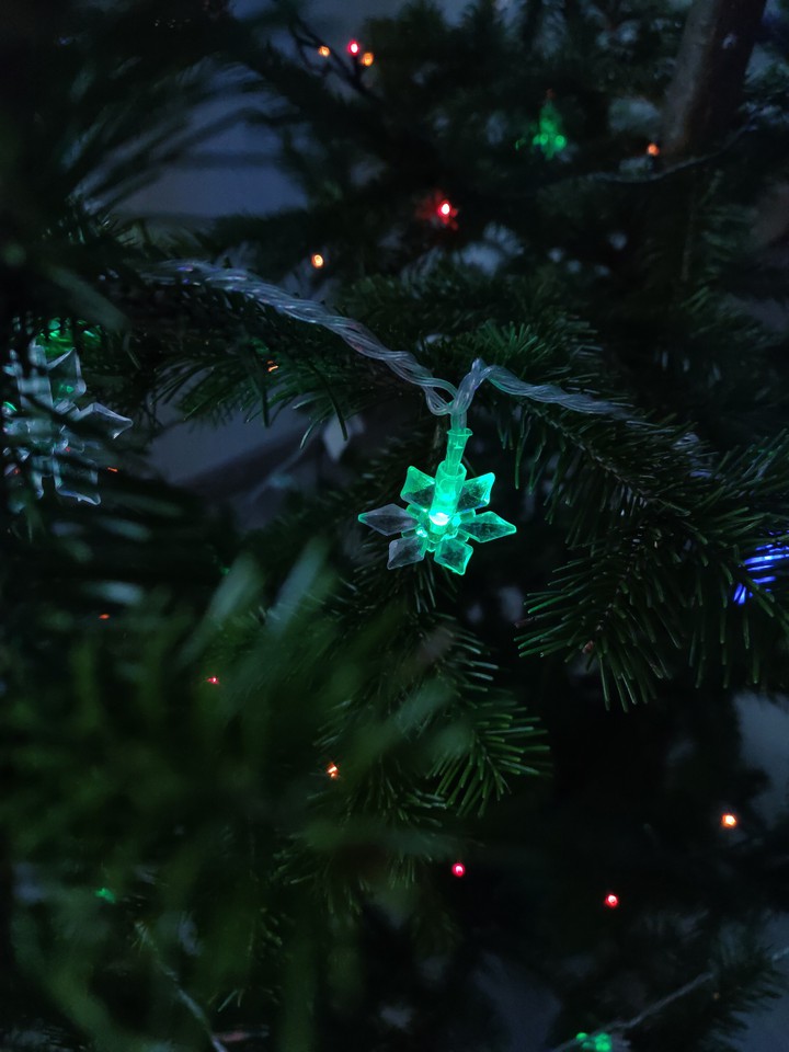 Merry Christmas