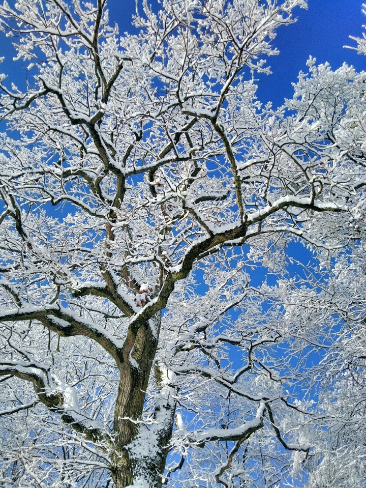Winter STMK