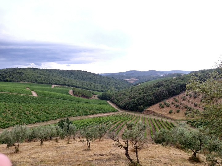 campagna italiana