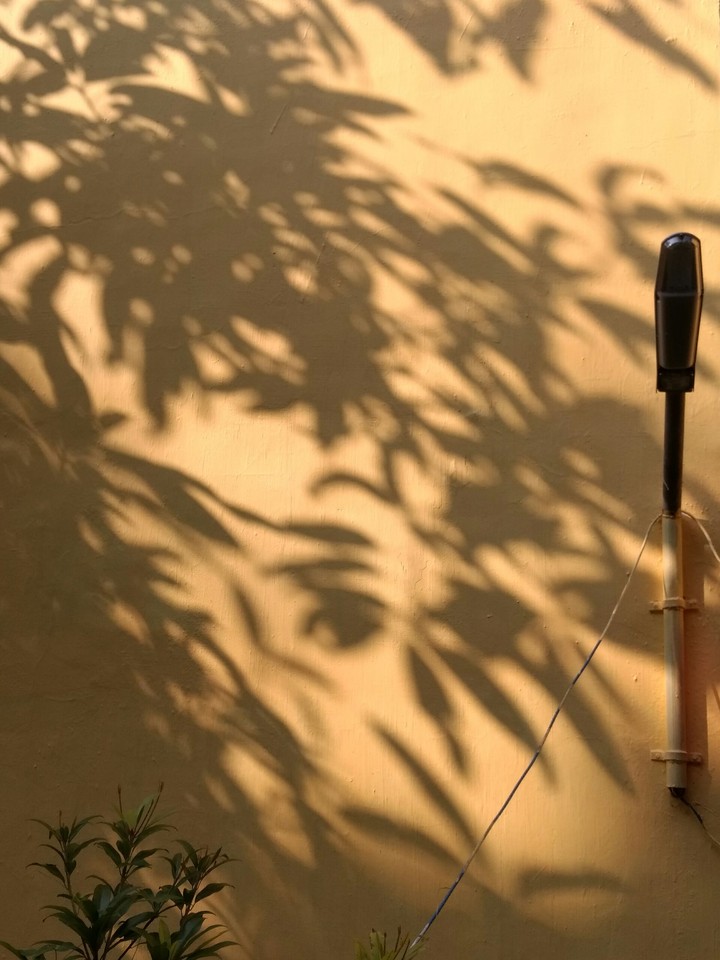 shadow