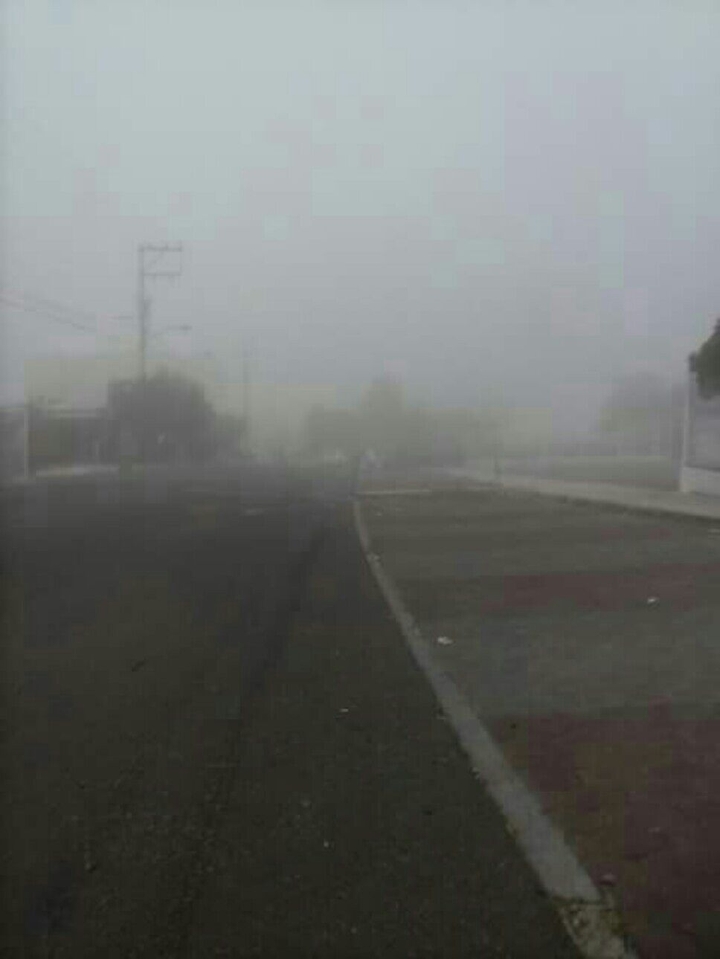 Niebla