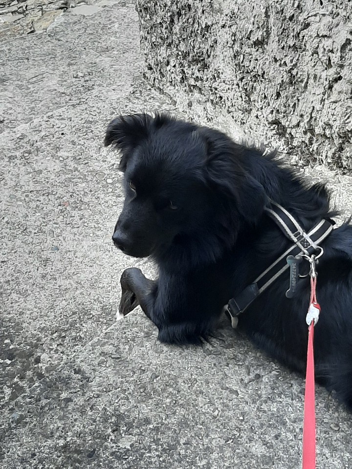 tyson