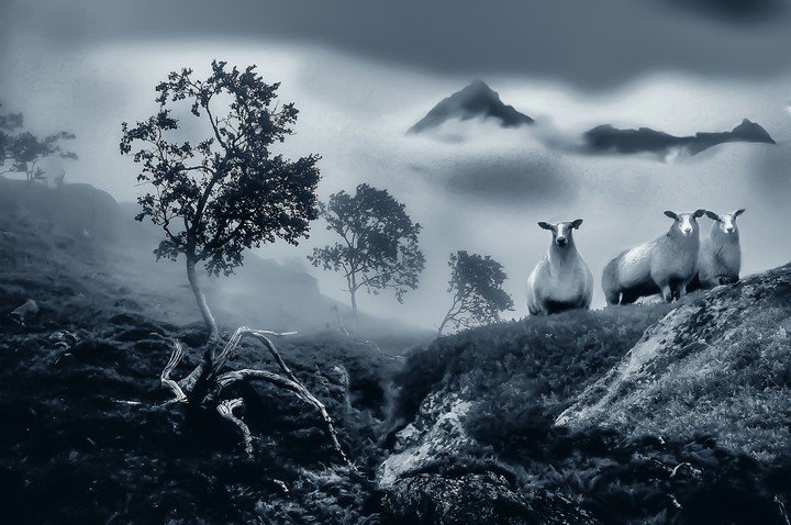 #Monochrome