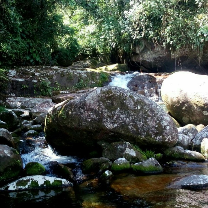 Natureza