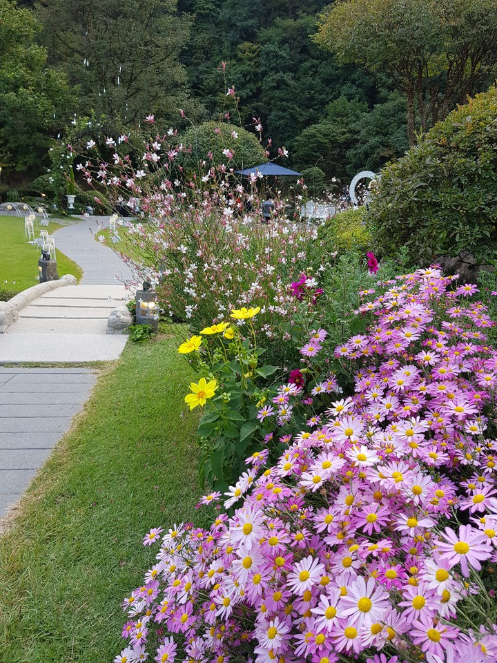 가을 꽃
