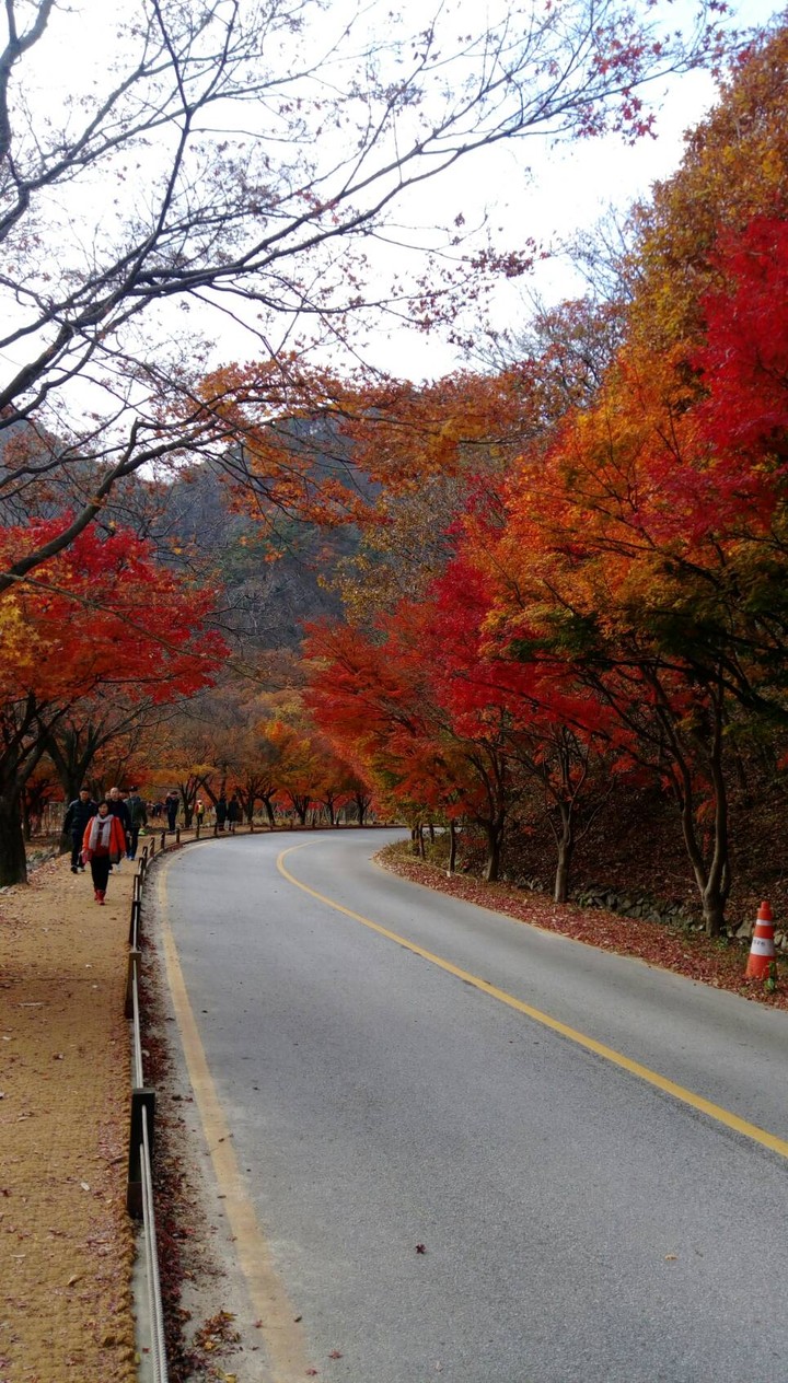 scenery