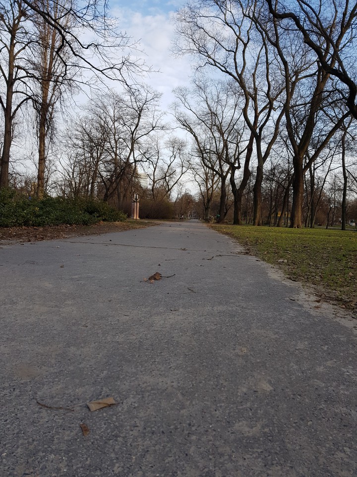 park