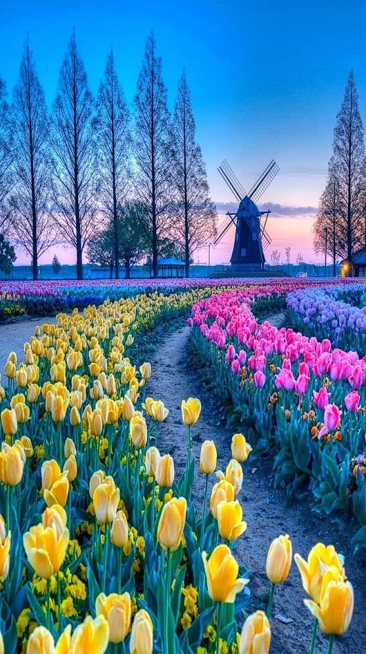 Windmill.