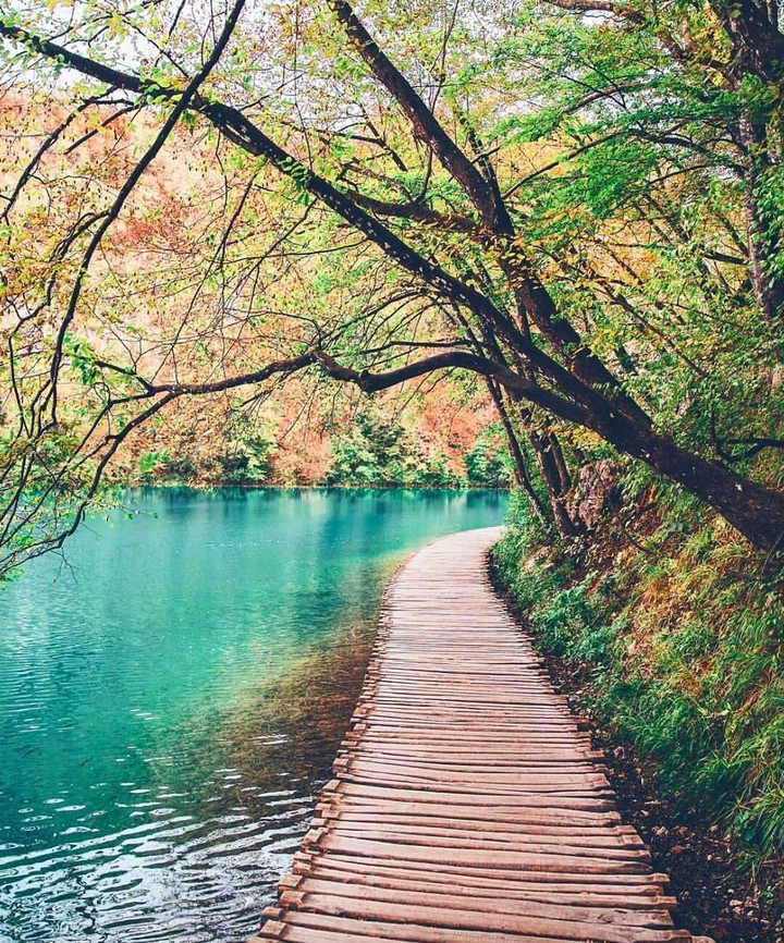wooden path of plitvice lake