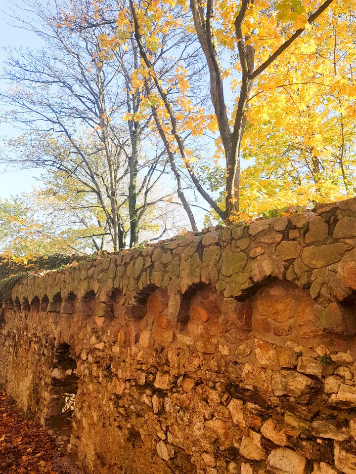 Burgruine
