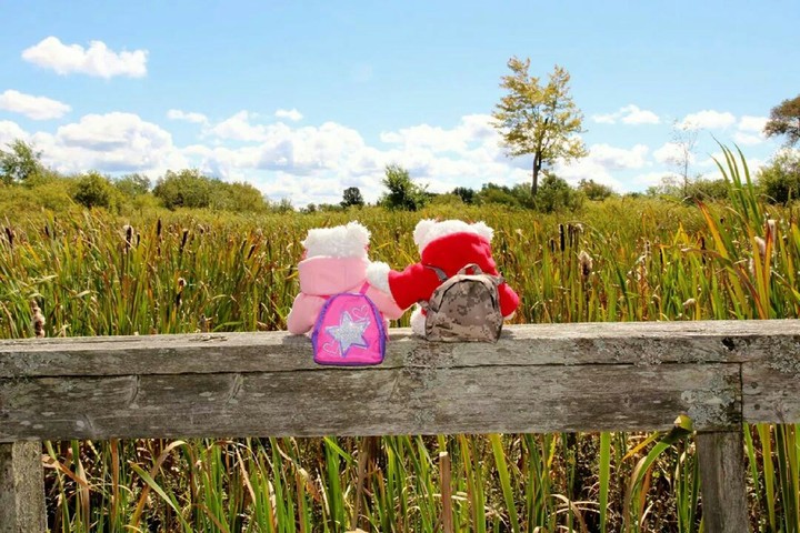 Enjoy the view!