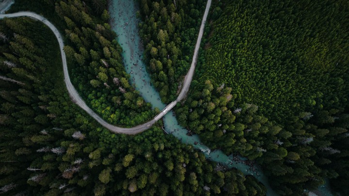 Beautiful Greenery