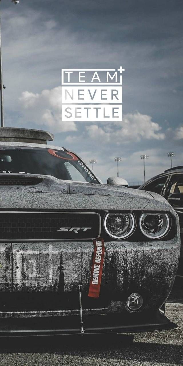 Never Settle
