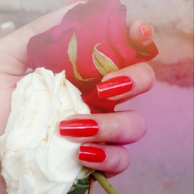 Roses