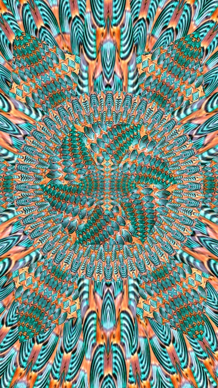 kaleidoscope from glass bowl at Burlington Coat Factory