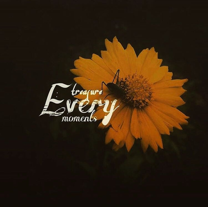 teasure every moments