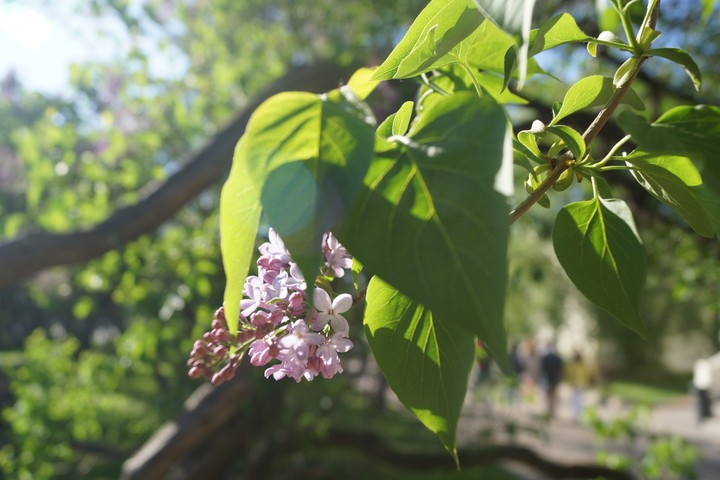 Красота.
