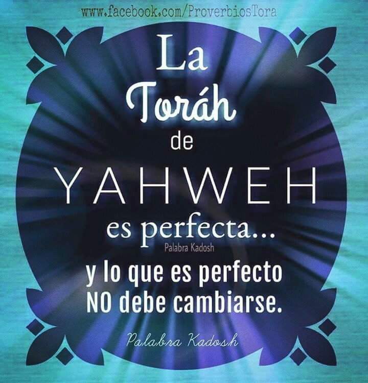 Toráh 