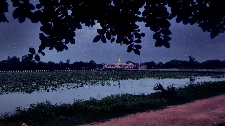 The Pagoda