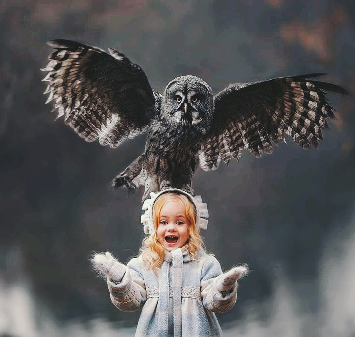 Kid and 