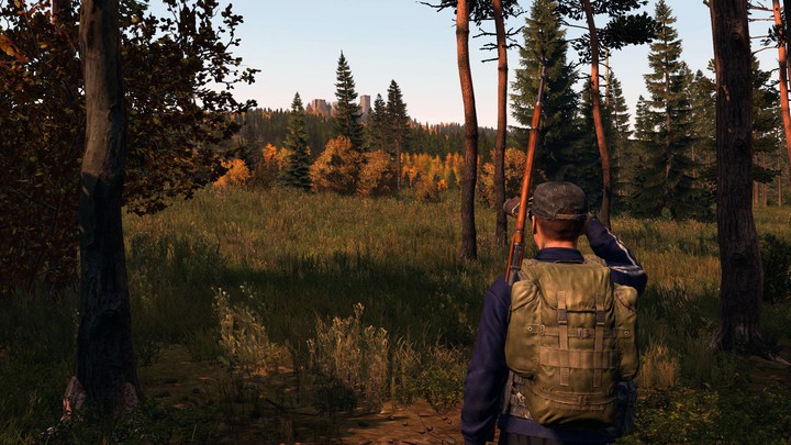 DayZ
