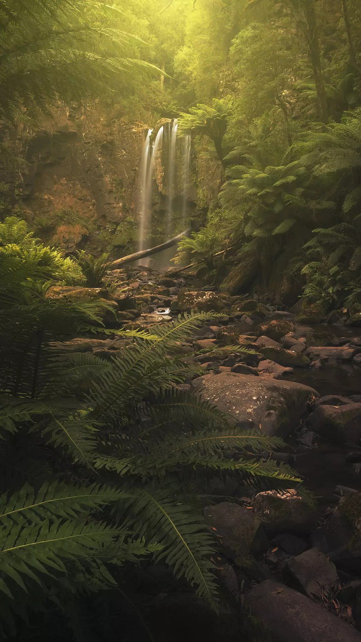 Nature