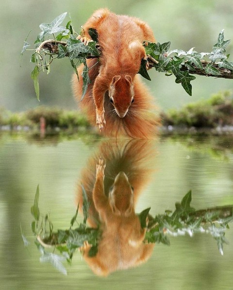 HEY FRIEND YOU THERE???