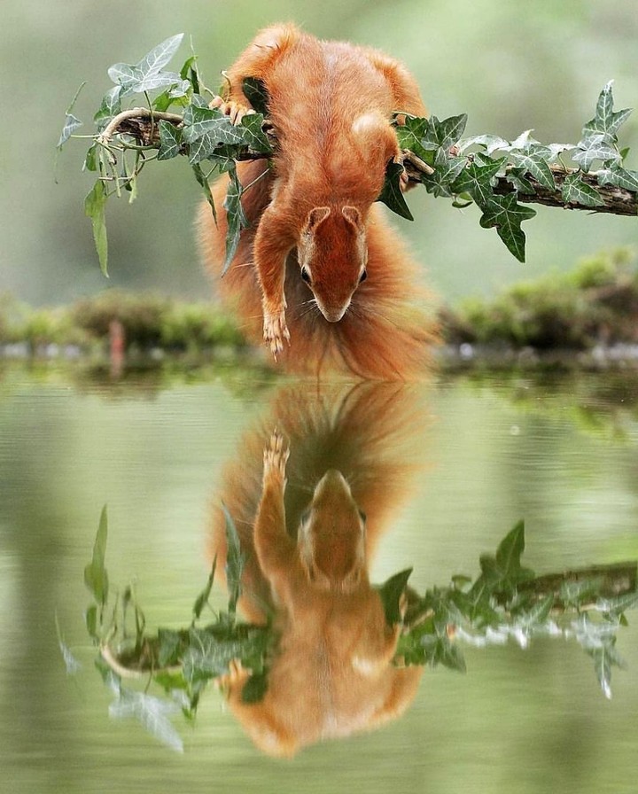 HEY FRIEND YOU THERE???