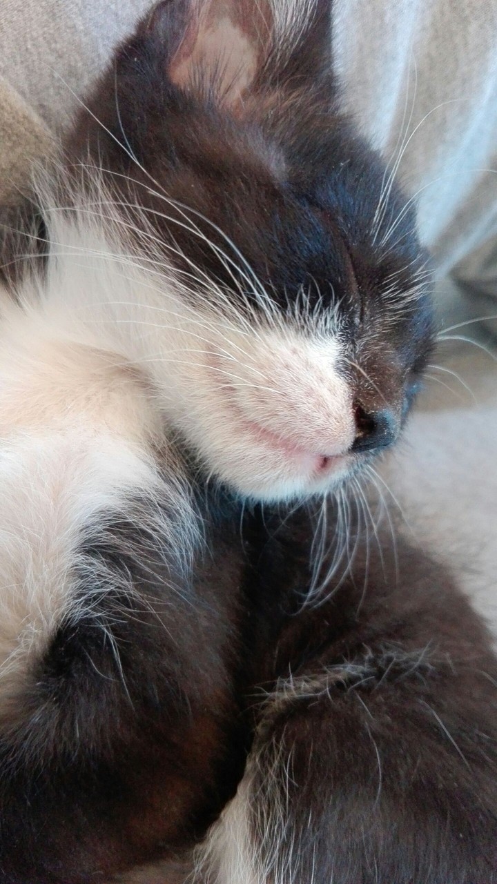 Cute