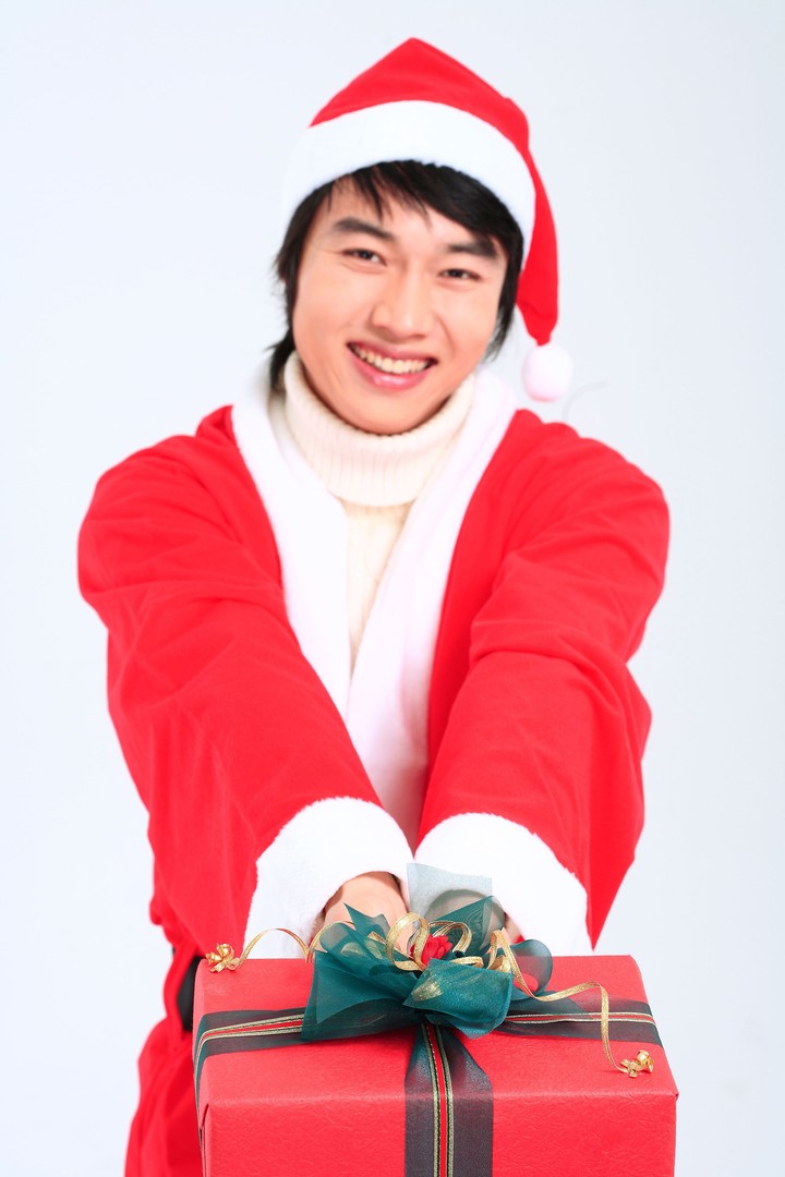 Christmas Costume