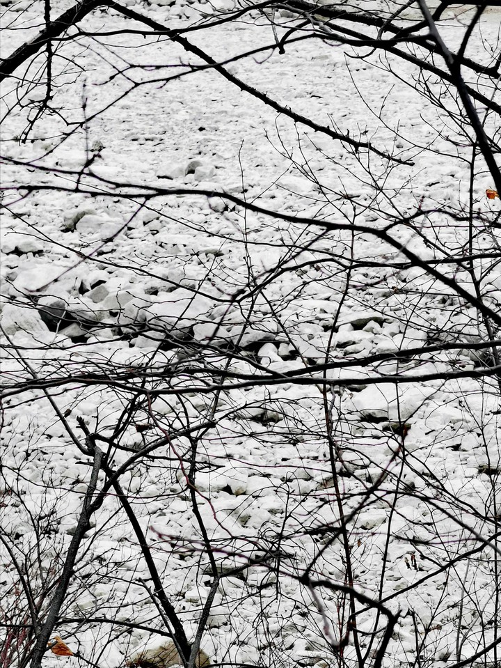 roche branche nature