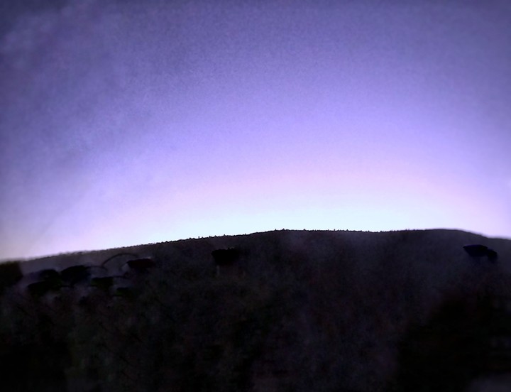 Another Sunset
