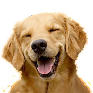 YAWN**