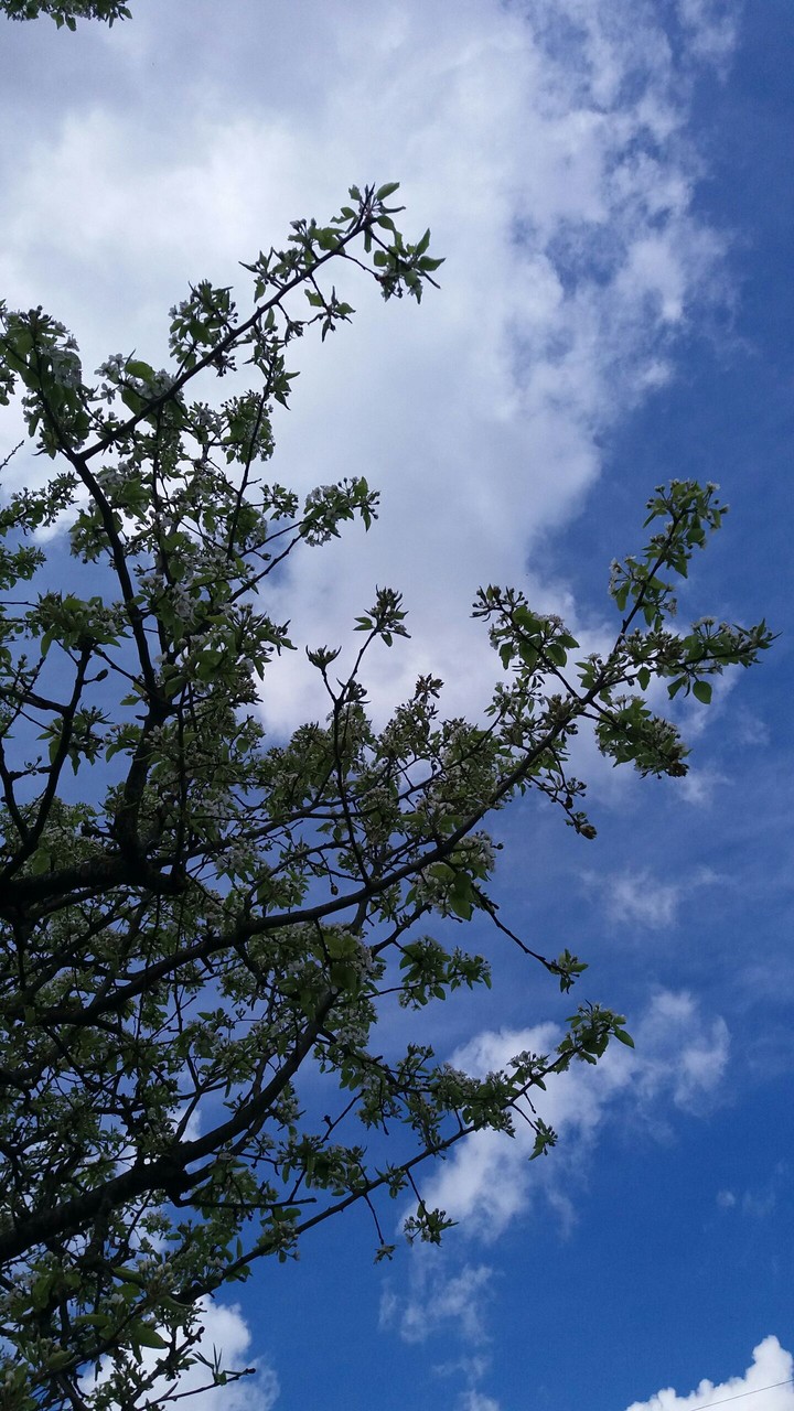 sky