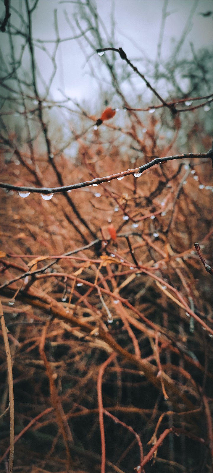 осень