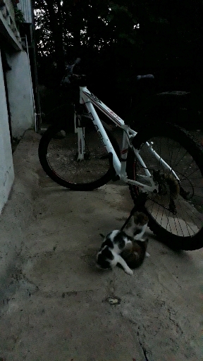 ❤