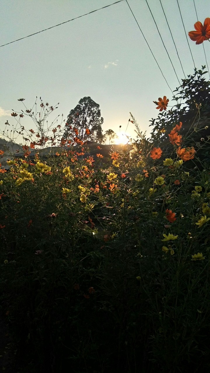 Sunset.