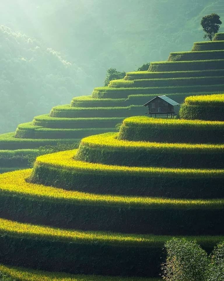 Munnar