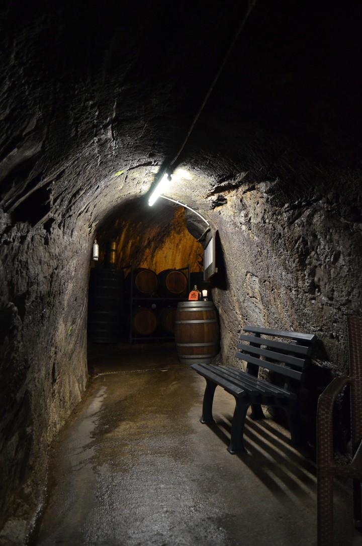 Wine cellar