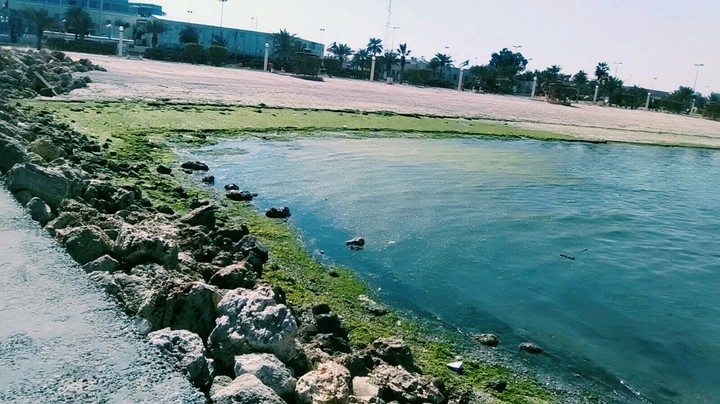 Arabian gulf coast