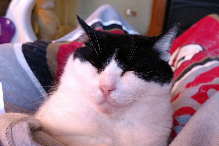 toes