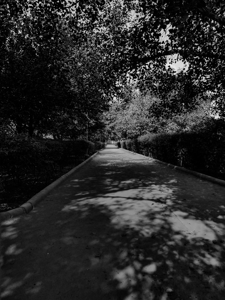 Dark Shades of Path