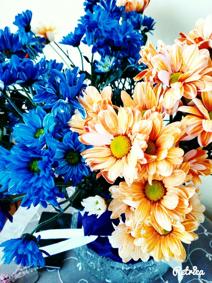 Flowers