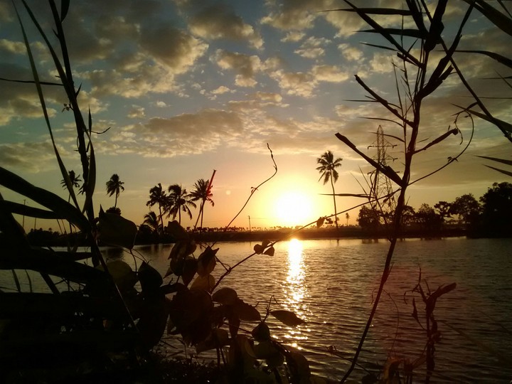 nature :calming our minds