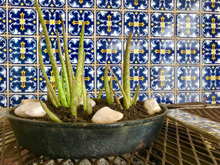 El sartén de mi abuela
